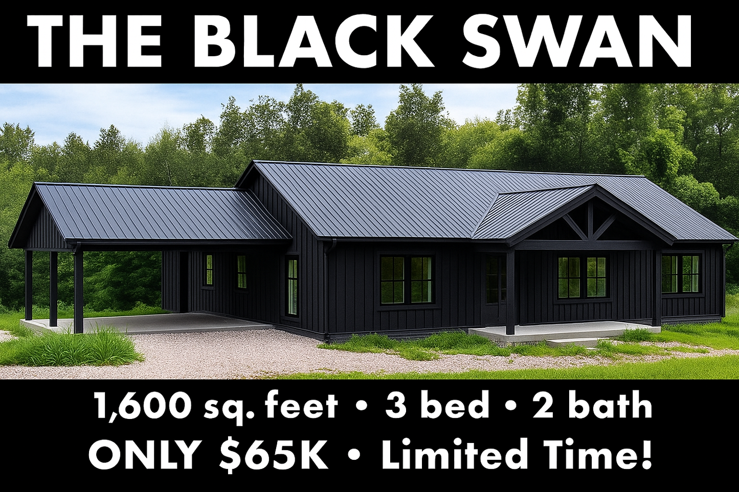 The Black Swan Affordable House Kit with Carport